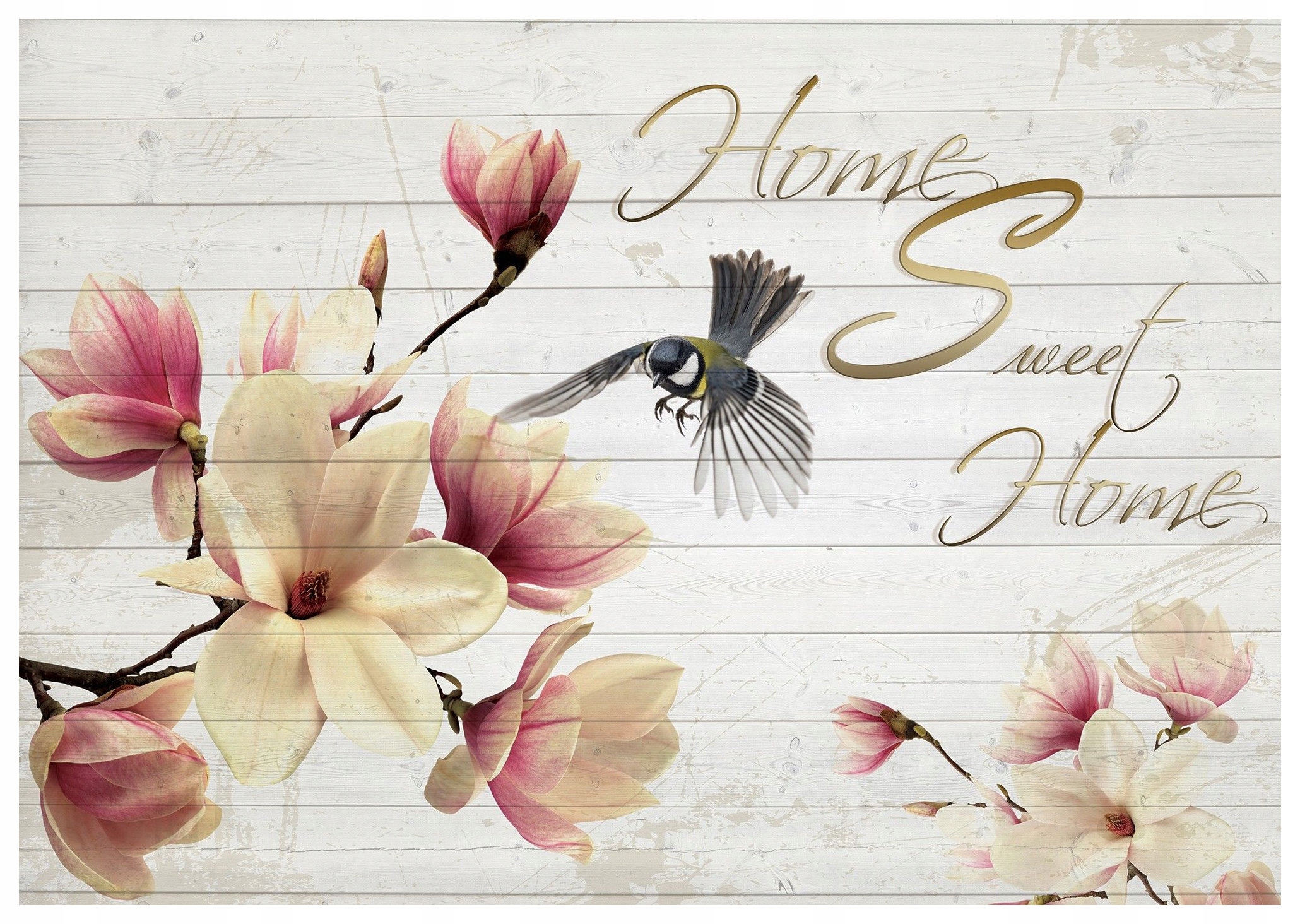 Fototapeta Magnolie pták Dům Sladký dům vintage vinylová 312x219 lepidlo