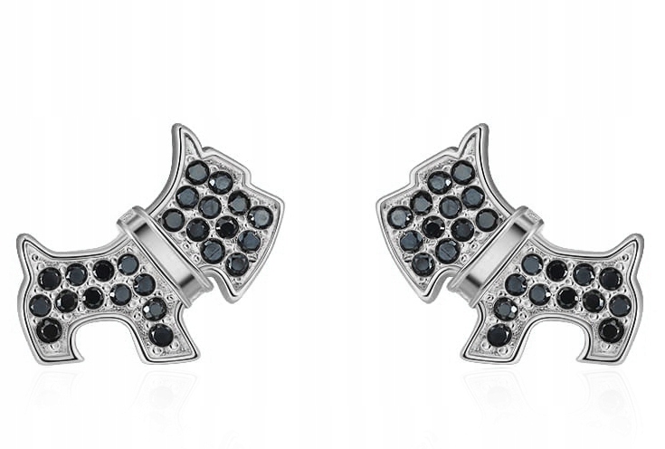 Stříbrné náušnice Ag 925 IM0980423KSR