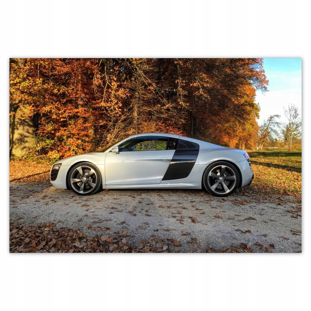 

Plakat 93x62 Jesienne Audi Samochód