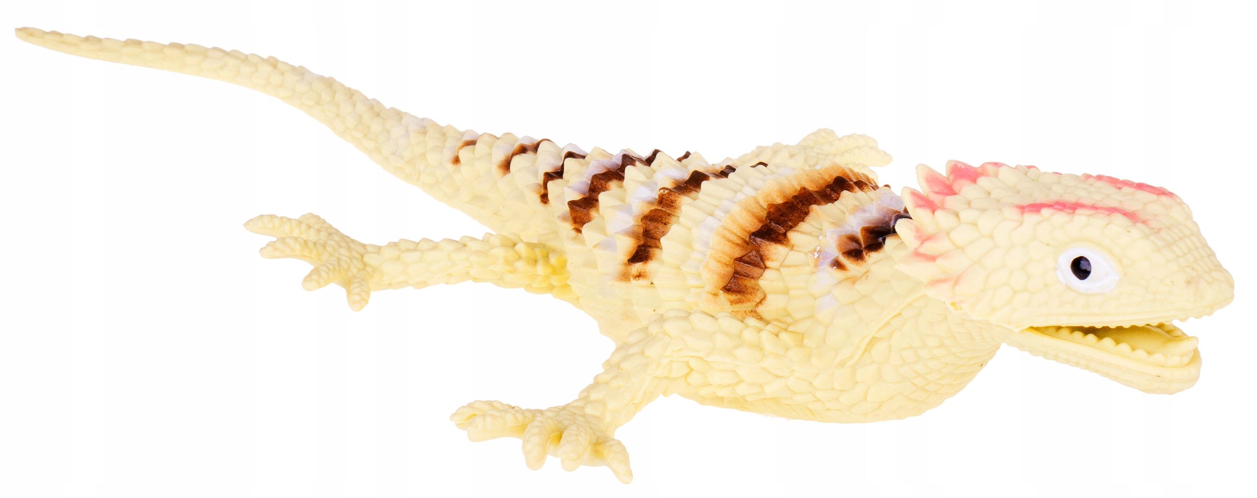 

Jaszczurka Kolczasta Cordylidae Gumowa Jaszczur Kr
