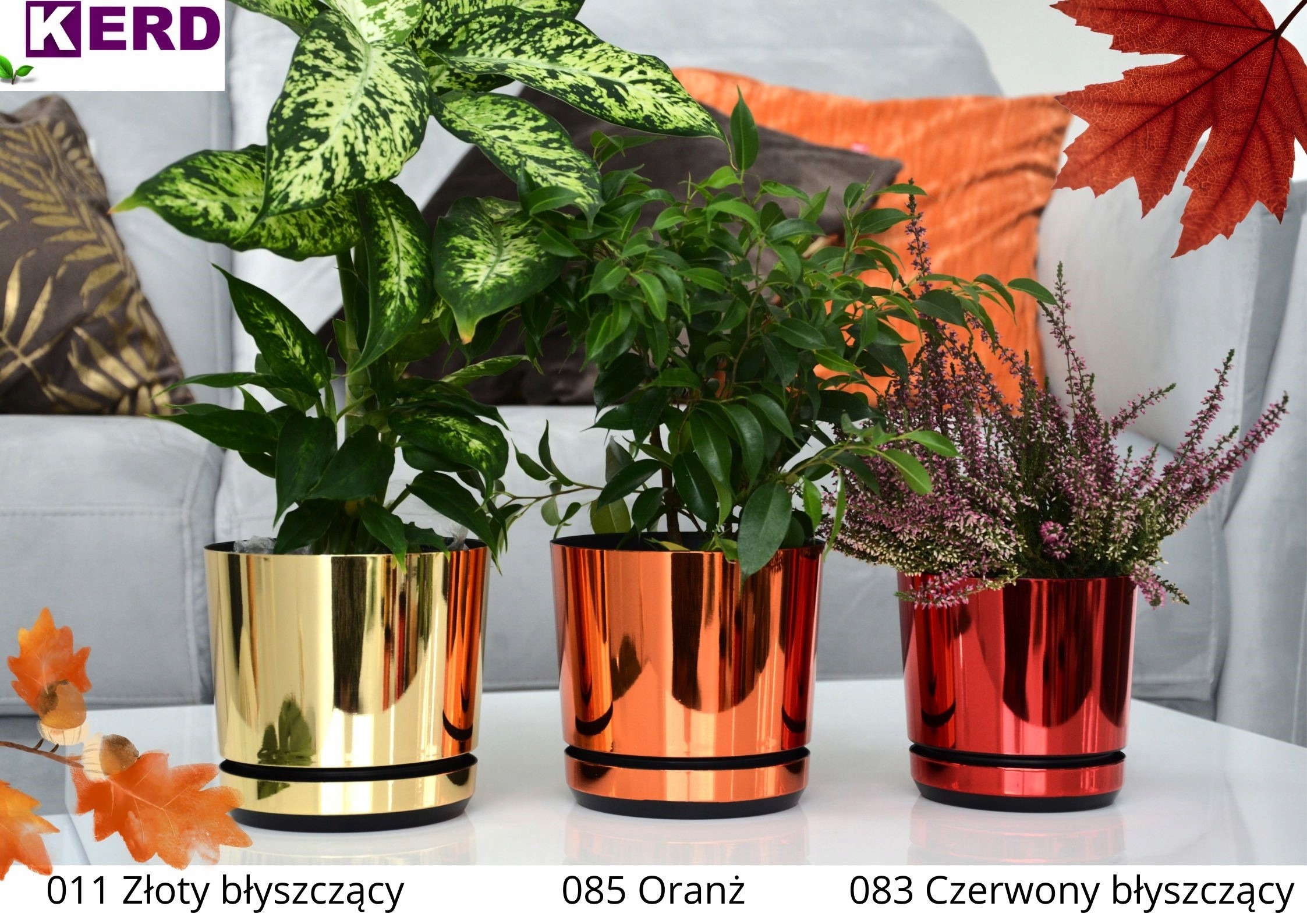 12 Doniczka CZERWONA BŁYSZCZĄCA Poinsecja dekoracja świąteczna Gwiazda Betl Kod producenta DEKOR 12/083