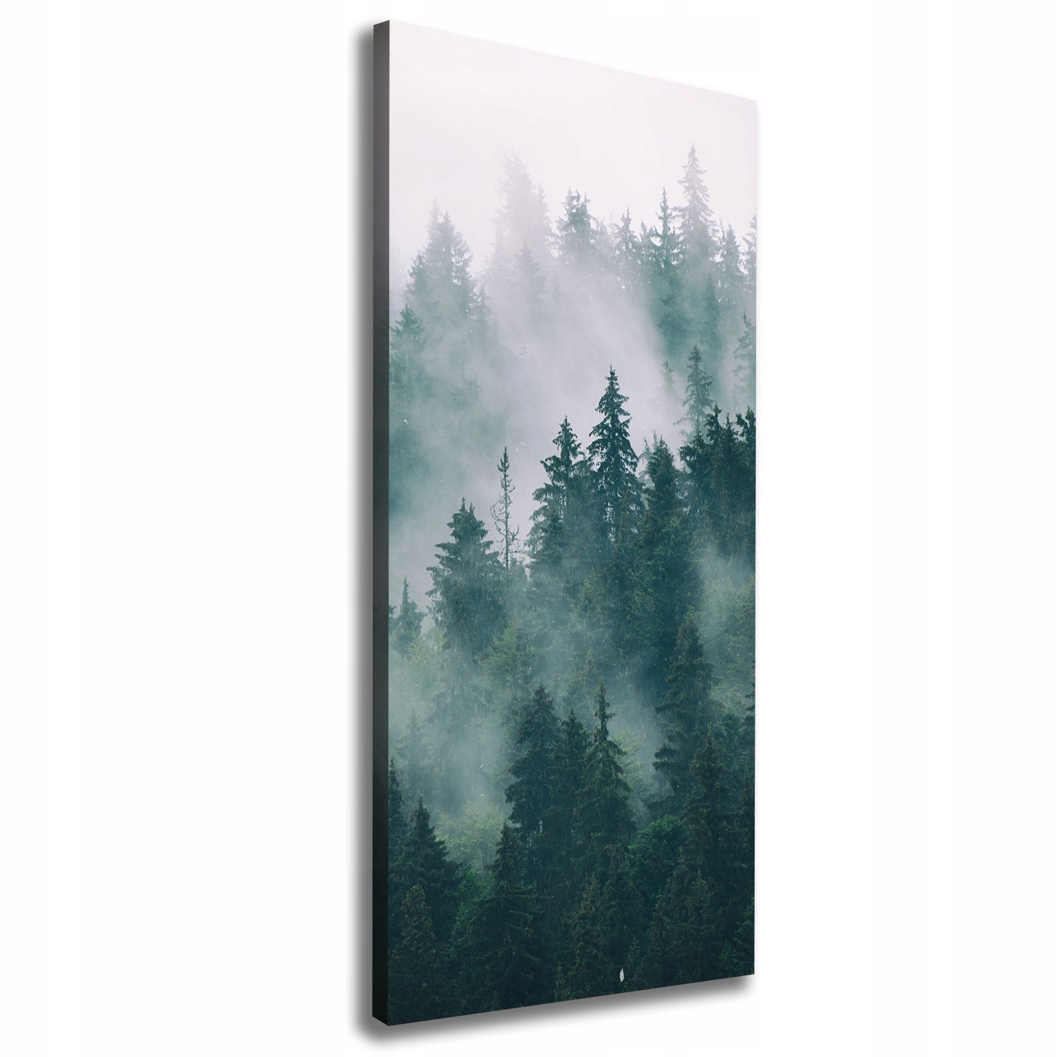 

Foto obraz na płótnie Mgła nad lasem 50x125 cm