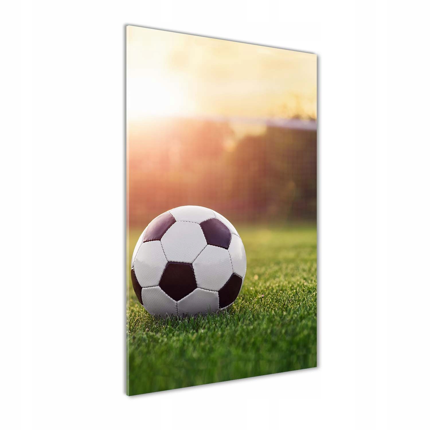 

Foto obraz szkło hartowane Piłka nożna 60x120 cm