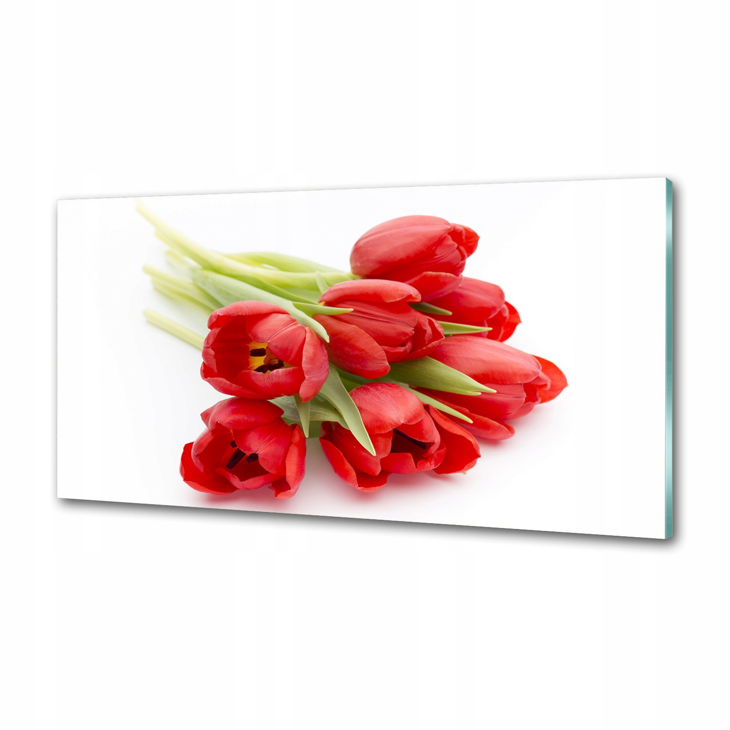 Panel do kuchyně Červené tulipány 120 x 60 cm Lepidlo