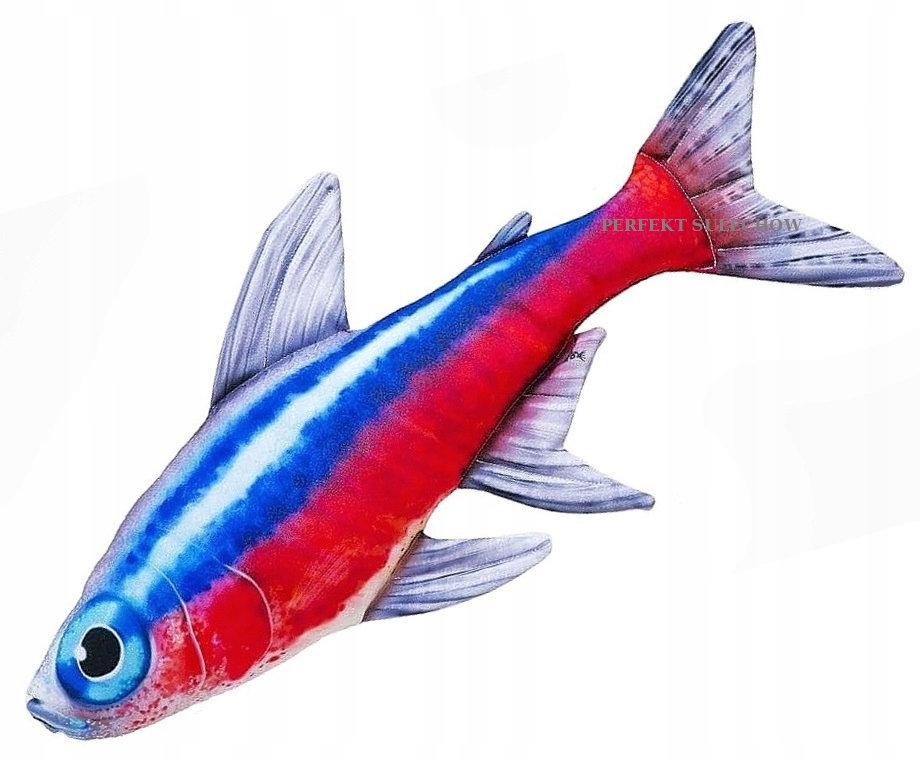 

Poduszka Maskotka Neon 53 cm