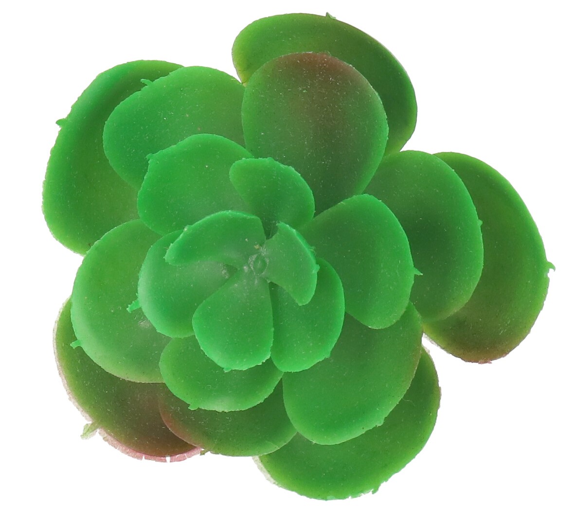 

Sukulent Sukulenty Mini Kaktus Sztuczne Kwiaty