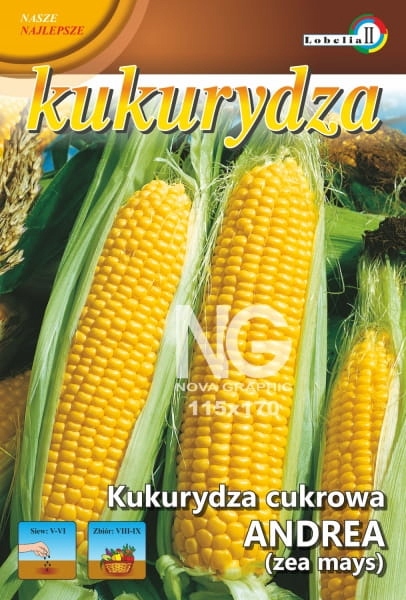 Kukurydza cukrowa Andrea 5g / L /