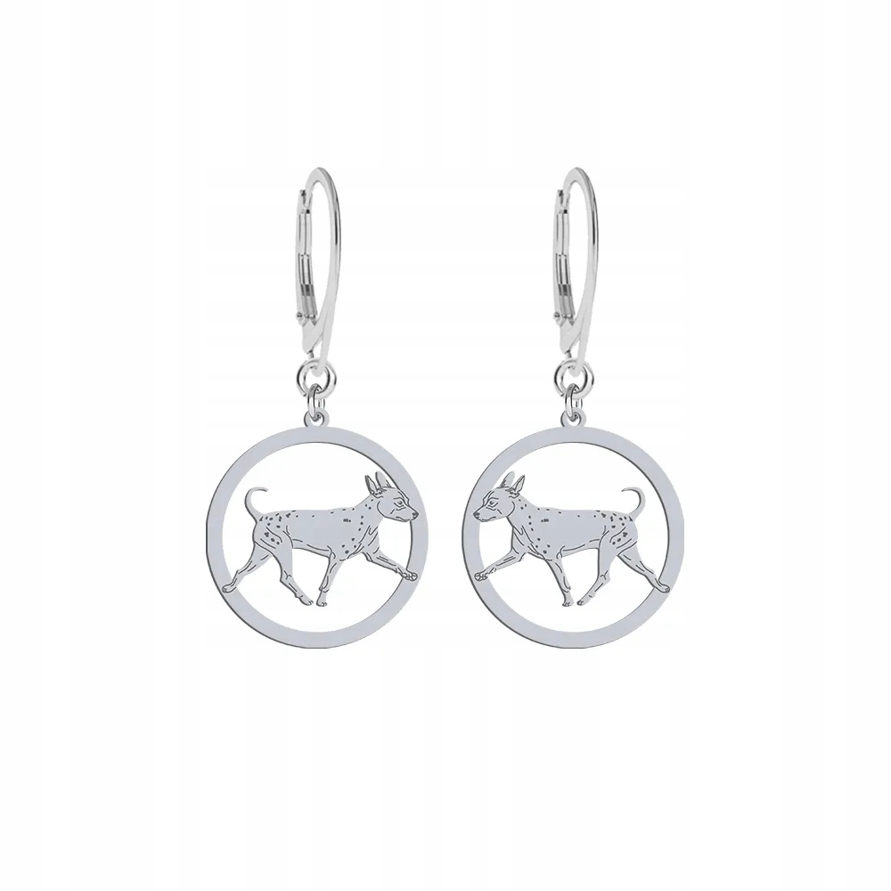 Stříbrné Náušnice se psem Americký bezsrstý teriér 925 Dárek Gravírování