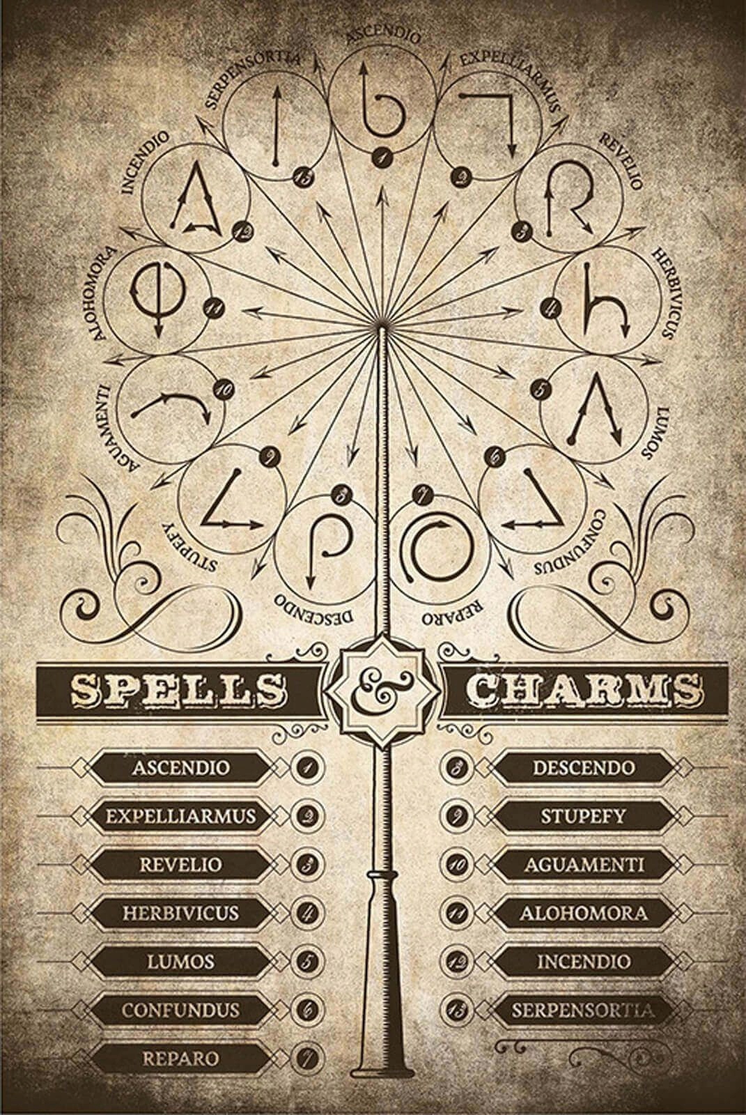 

Plakaty Harry Potter Spells Charms 61x91,5 cm