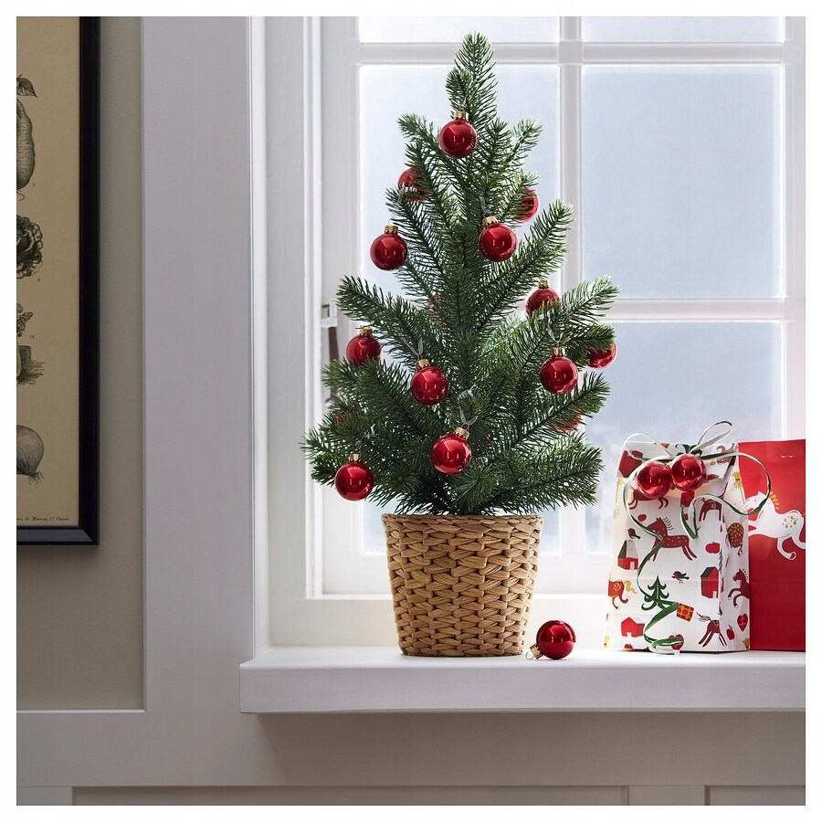 IKEA VINTERFINT CHOINKA roślina w doniczce 55cm Wysokość maksymalna 55 cm