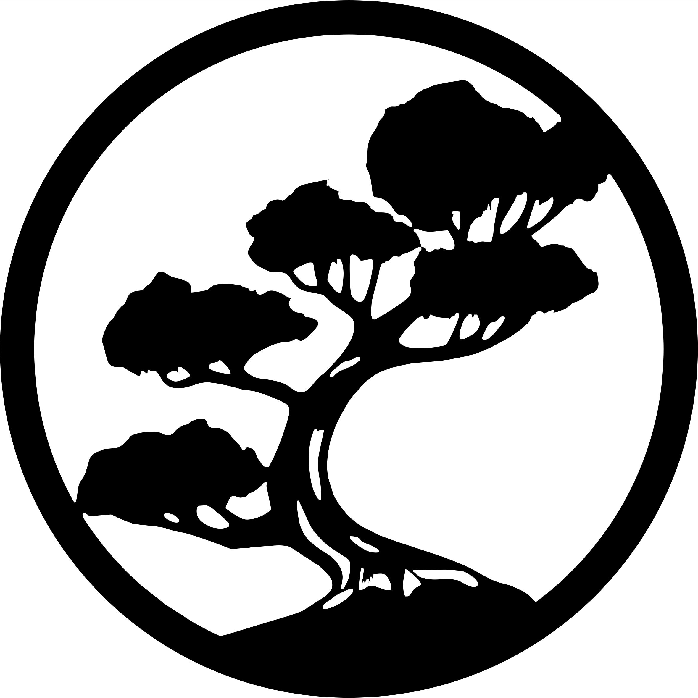 

Koło drzewo bonsai koło 50cm baza chrobotek