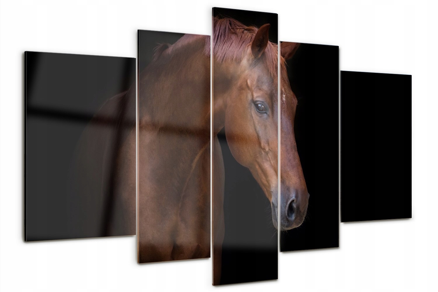 Foto Obraz skleněný velký polyptych Hnědý kůň