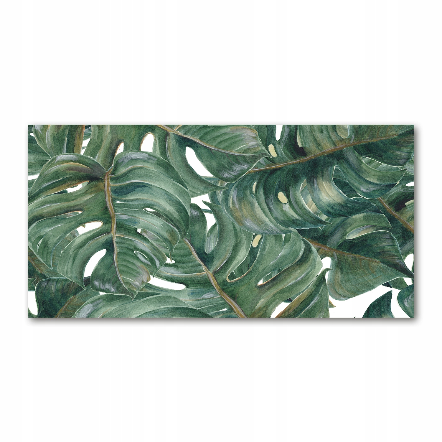 

Foto obraz duży akrylowy Monstera zdjęcie 140x70cm