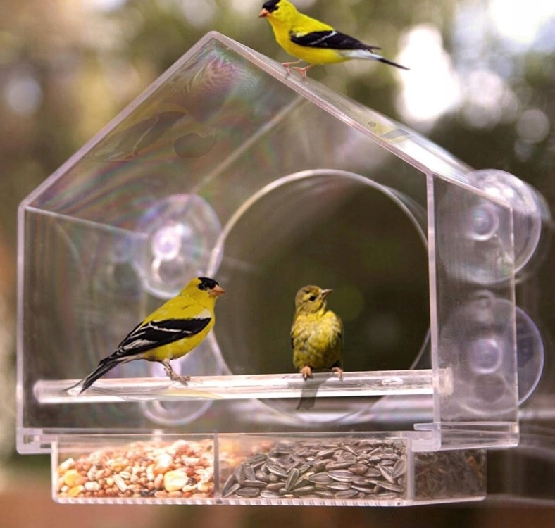 Levně Okenní krmítko pro ptáky Amsamotion