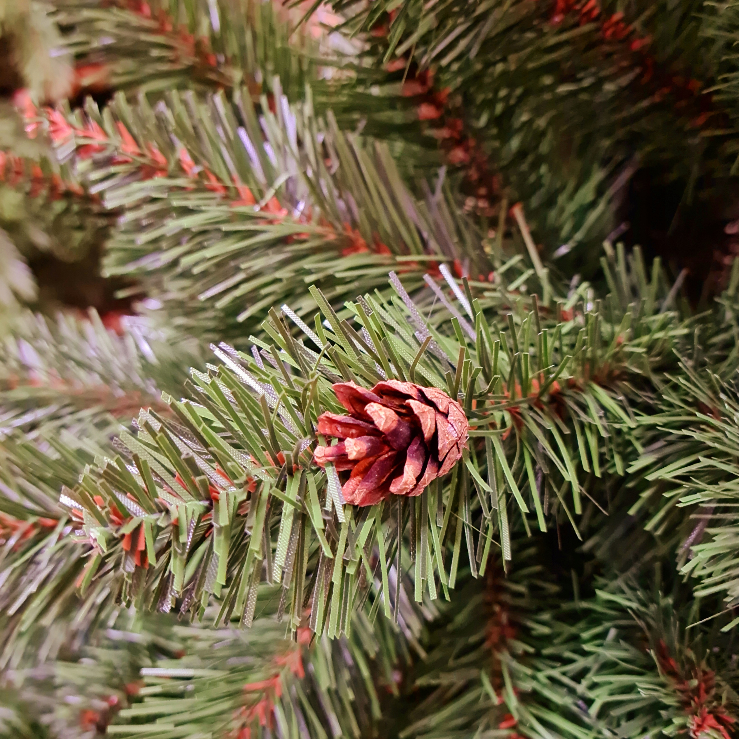 CHOINKA POLSKA JODŁA LUX PVC 100 CM Wysokość Do 100 cm