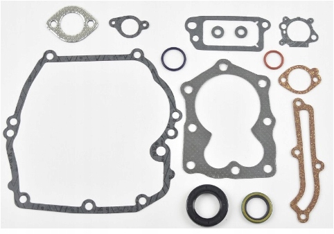 

Zestaw Uszczelek Briggs Quantum 493263 496117 Bs