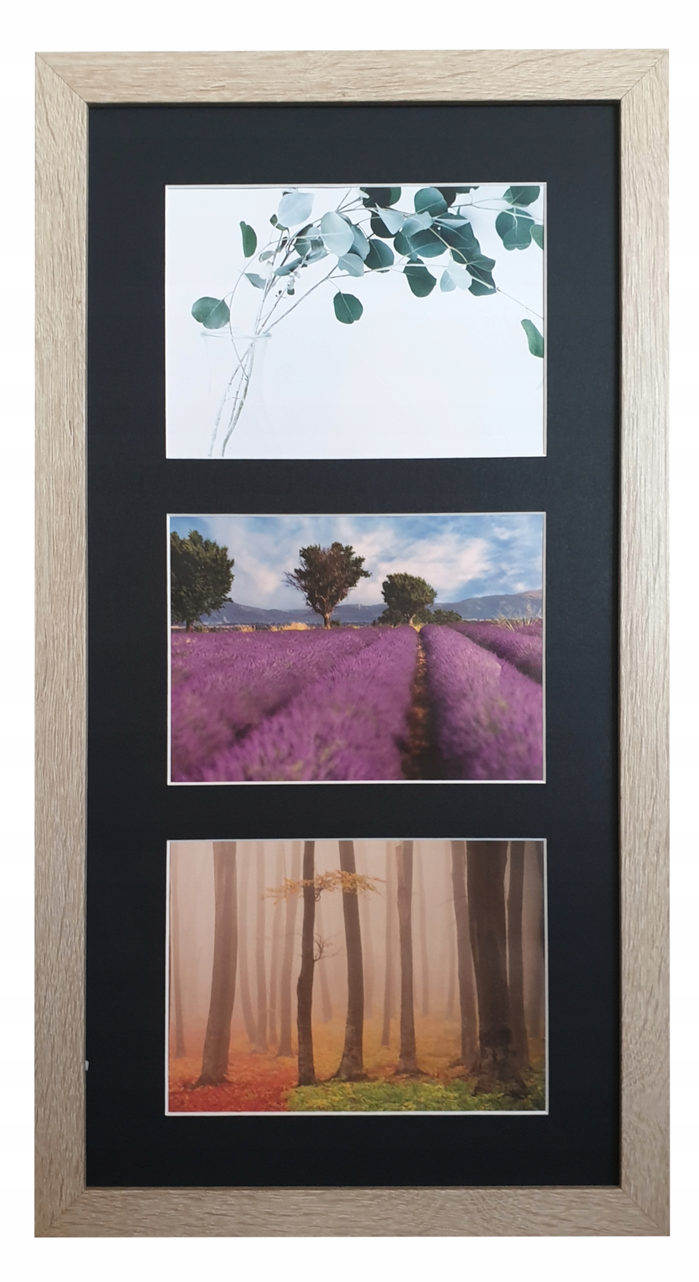 

Galeria 3 zdjęcia 15x23 rama i Passe-partout Nibrk