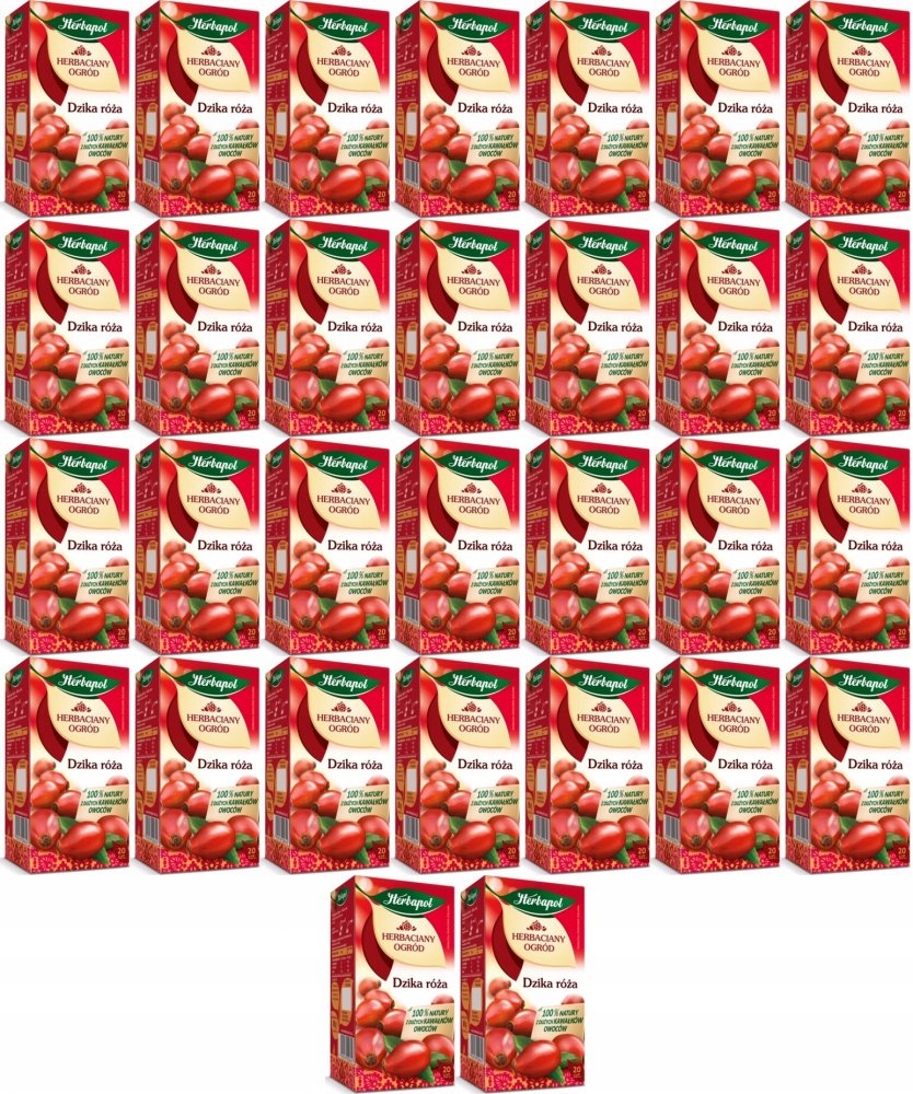 Herbaciany Ogród Dzika róża Herbapol 20 Tb x30