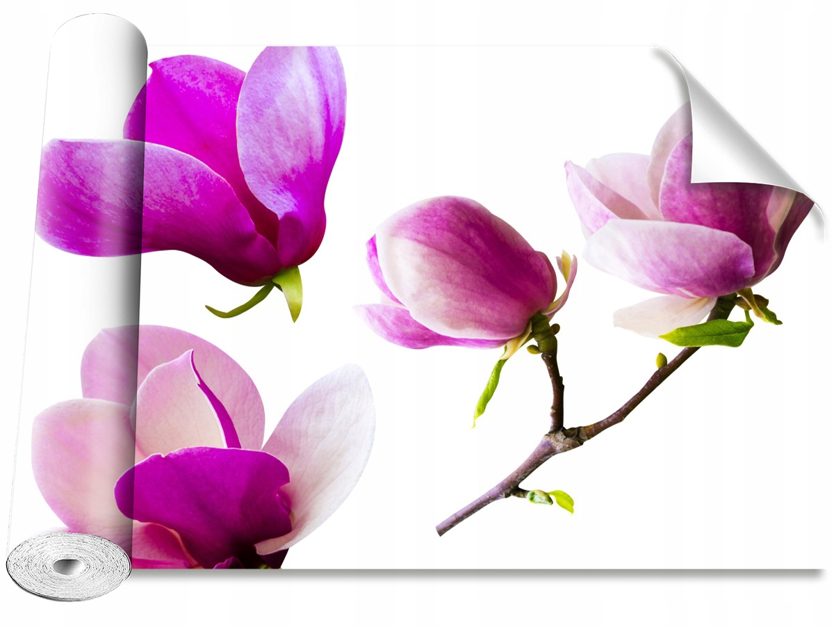 

Tapeta Samoprzylepna Kwiaty magnolii - 152x104