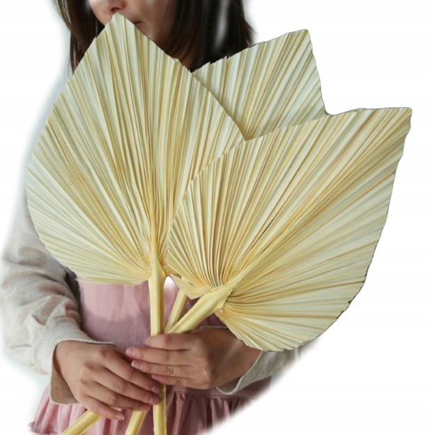 ZESTAW 3 LIŚCIE PALMOWE JASNE BOHO BALI SUSZONE