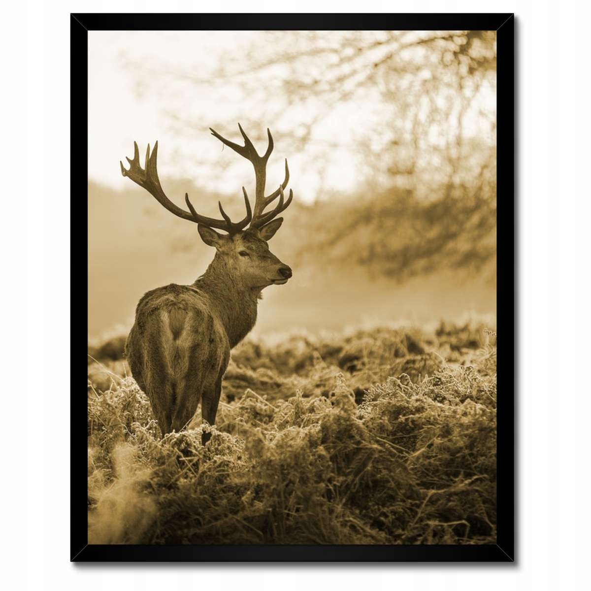 Plakáty v rámu 40x50 Jelen v lese