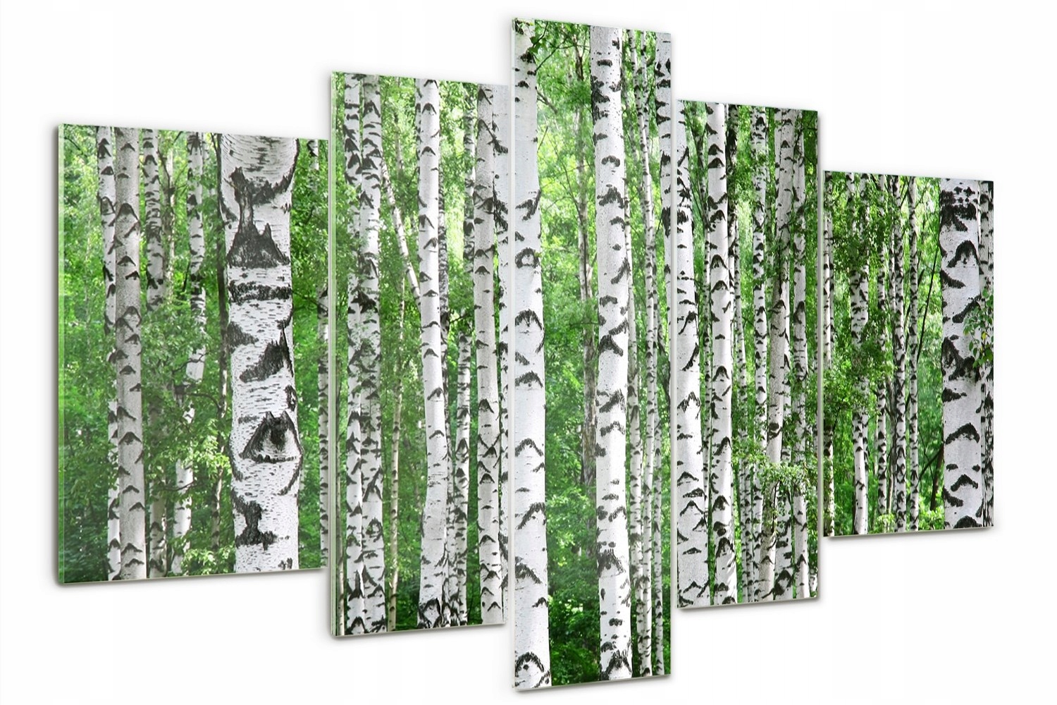 

Foto Obraz szklany duży tryptyk Brzozy kwiaty