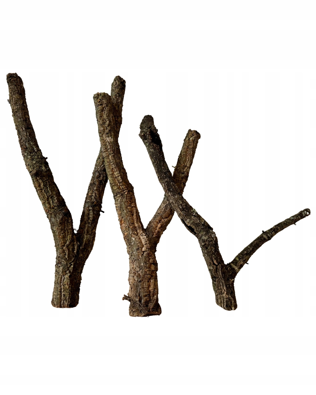 Levně Korkové větve do terária akvária 1 kg.