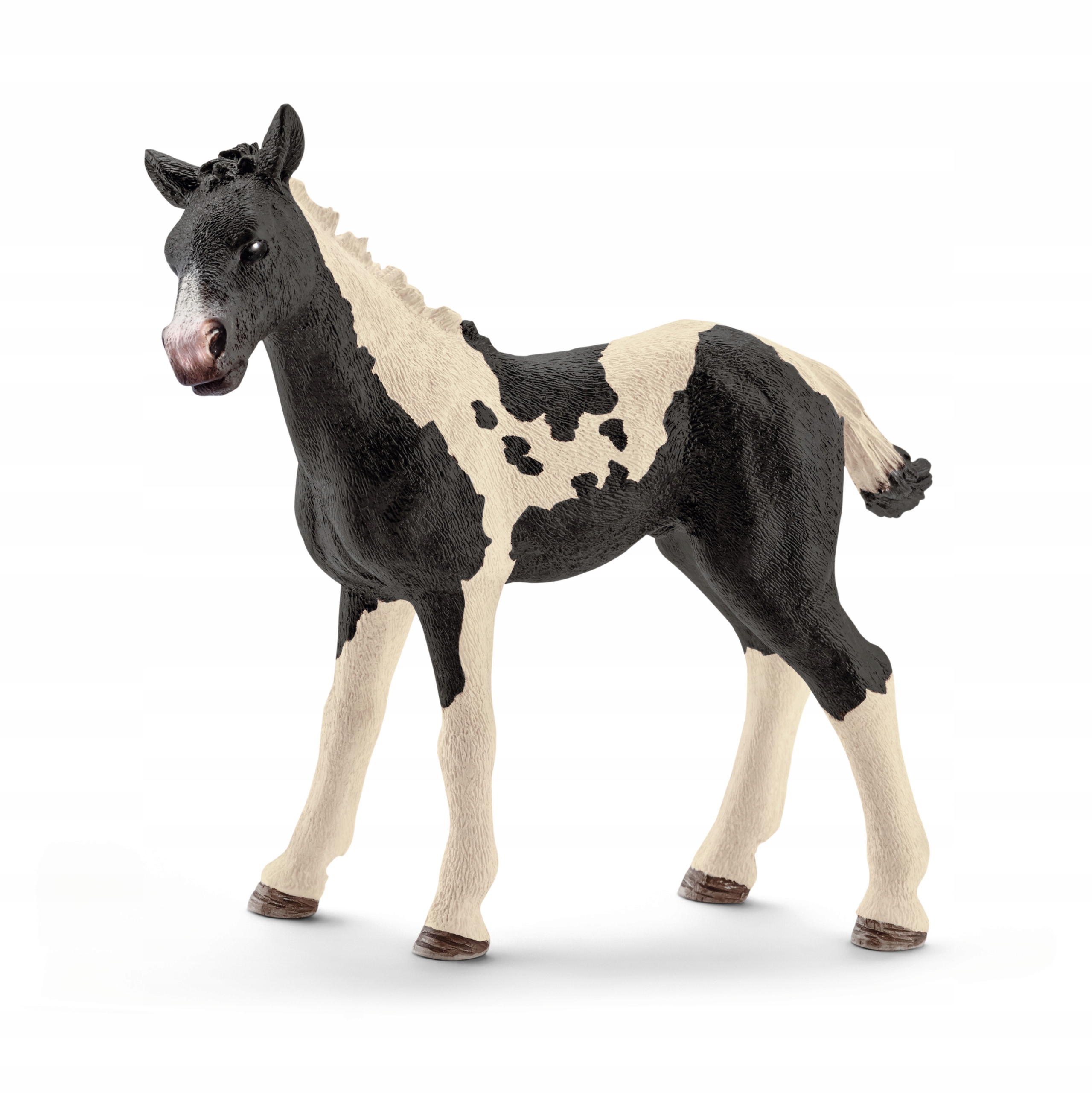 

Schleich Rasa Pinto źrebię 13803
