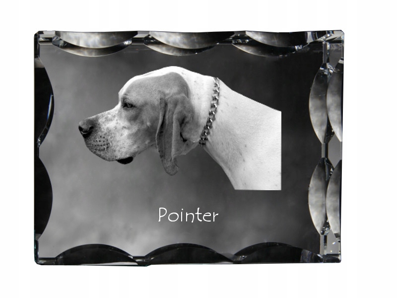 Pointer fotografia psa v ozdobnom kryštáli, suvenír, dekorácia domu