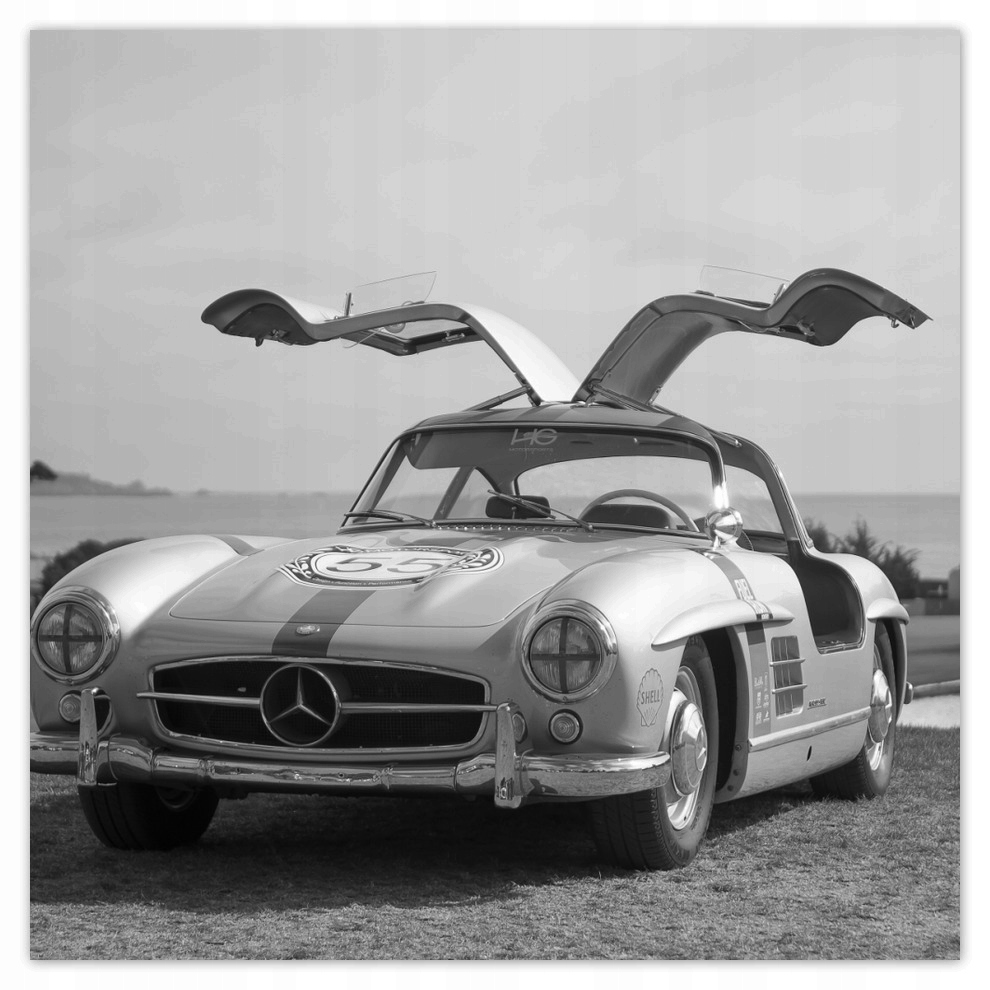 

Fototapety flizelina 208x208 Mercedes Gullwig
