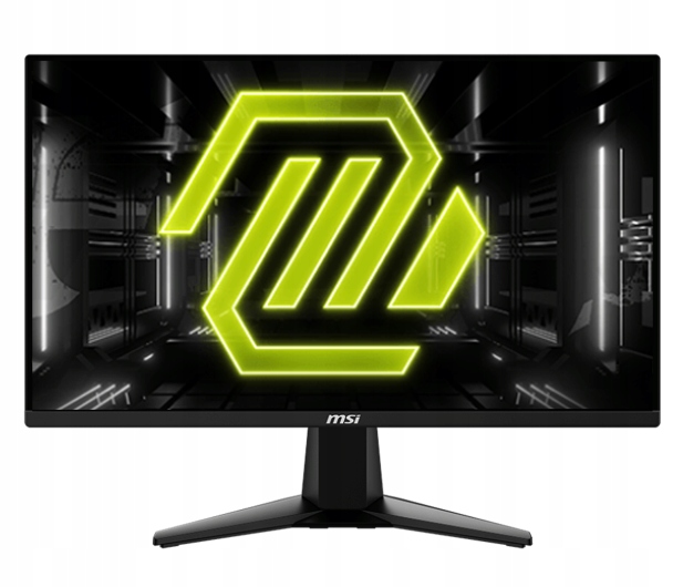 Monitor Led 24" Msi Mag 255F E20