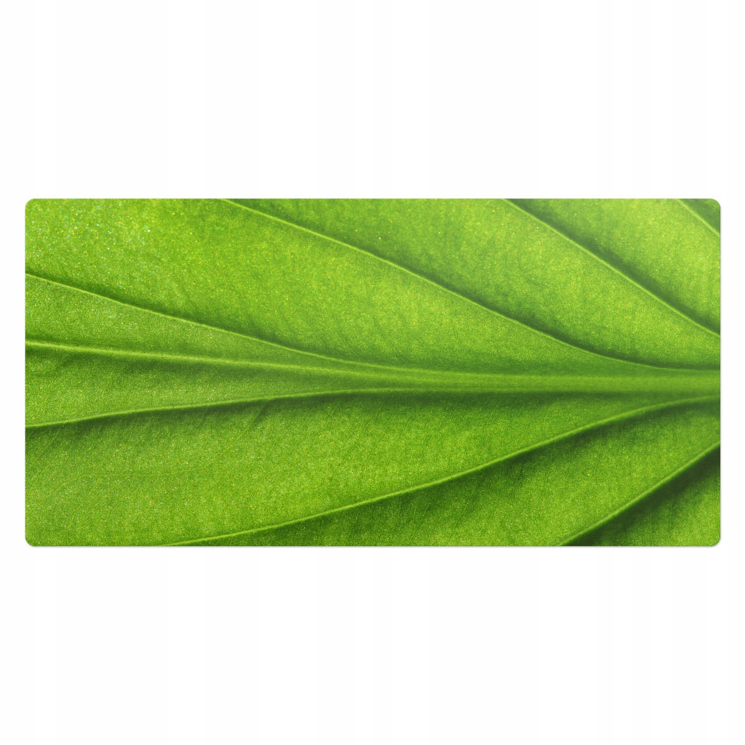 Protiskluzová podložka na psací stůl s potiskem Detaily listů v přírodě 100x50 cm