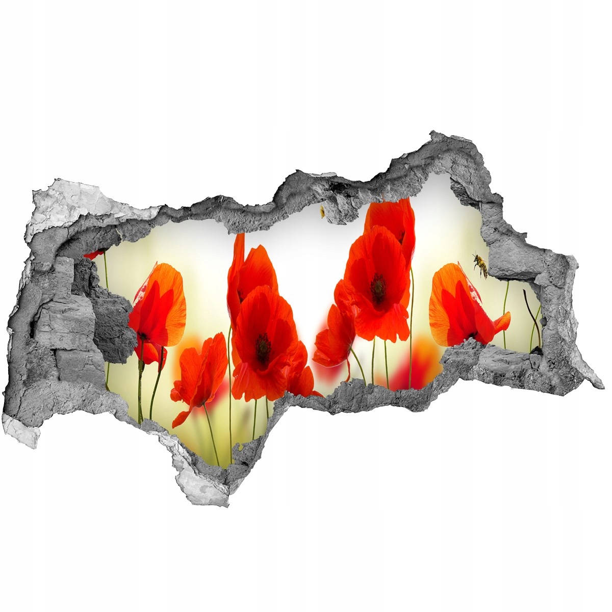 

Fototapeta Naklejka na ścianę fototapeta Maki