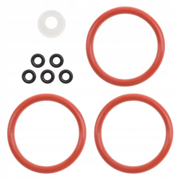 Delonghi Esam Etam Ecam Eam uszczelka zaparzacz