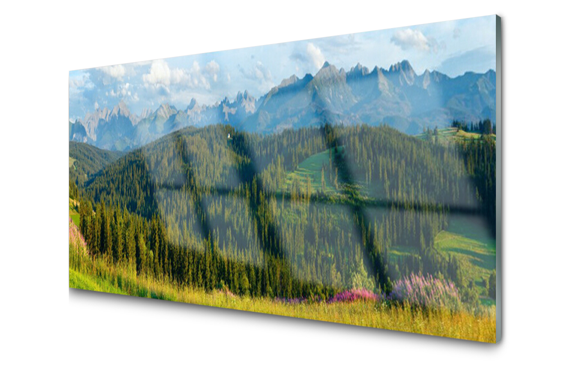 

Panel szklany Płytka Góra Las Przyroda 100x50