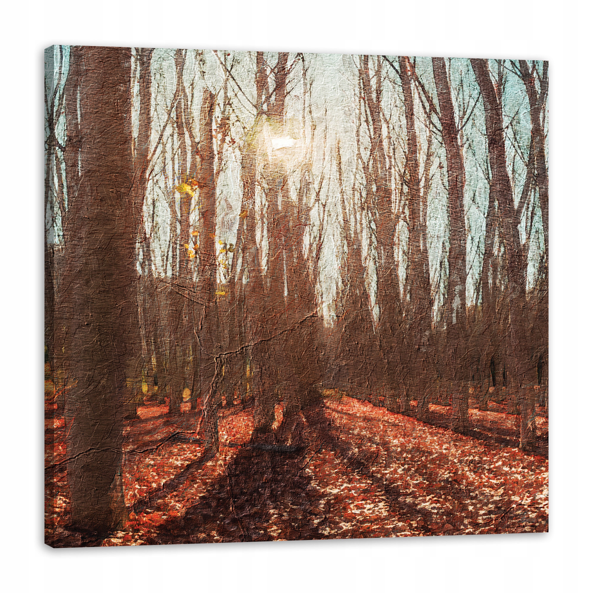 Obraz na plátně Les Na podzim Listy Barevné Příroda 80x80 cm