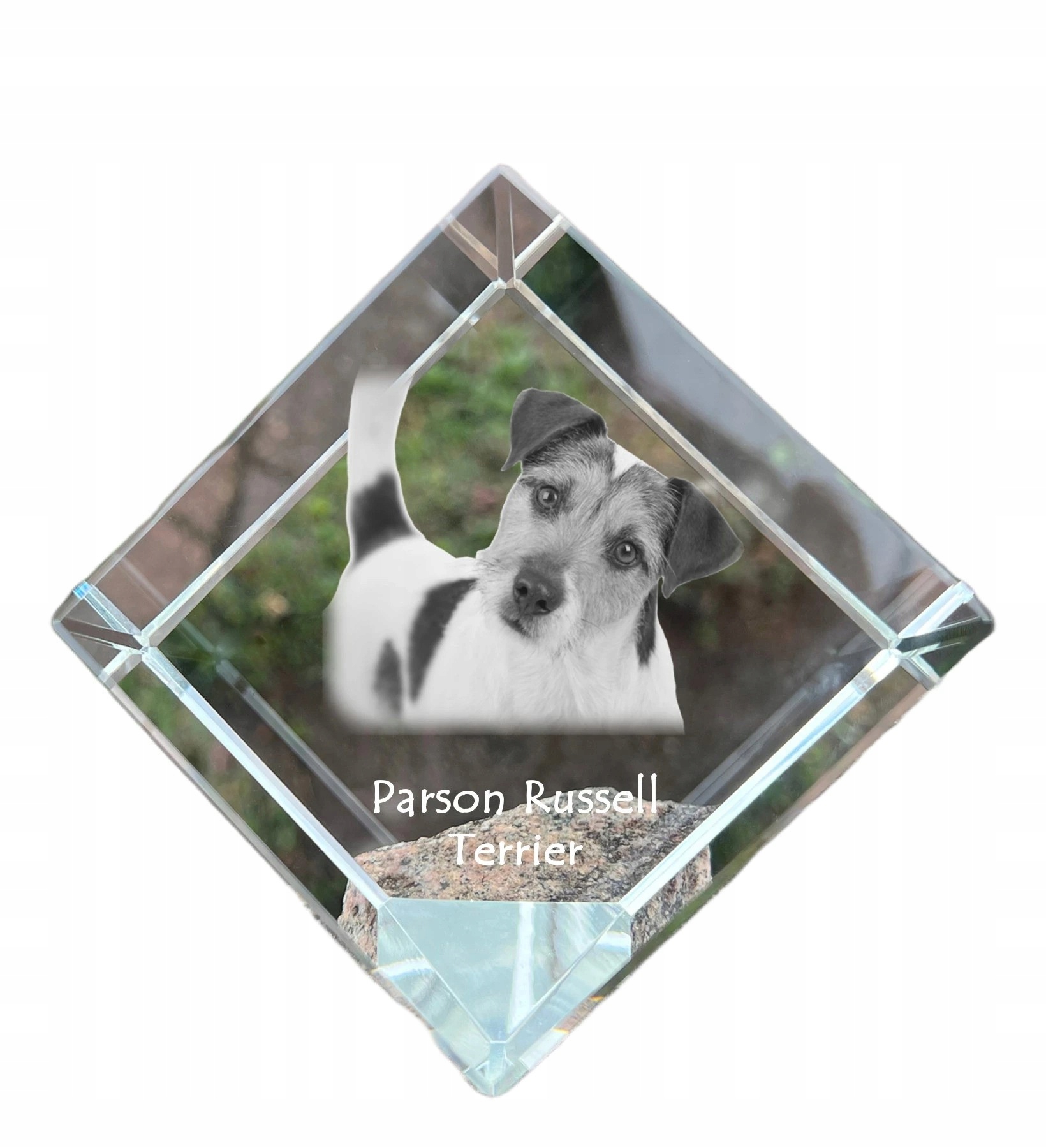 Parson Russell Terrier krištáľová kocka s fotografiou psa, ozdoba na stôl