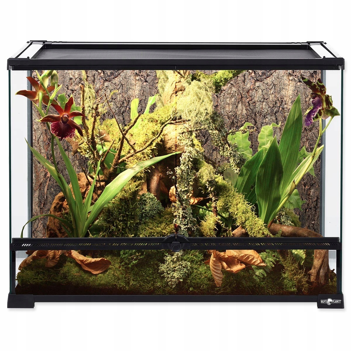 Tło z naturalnego korka 60x45 cm Repti Planet