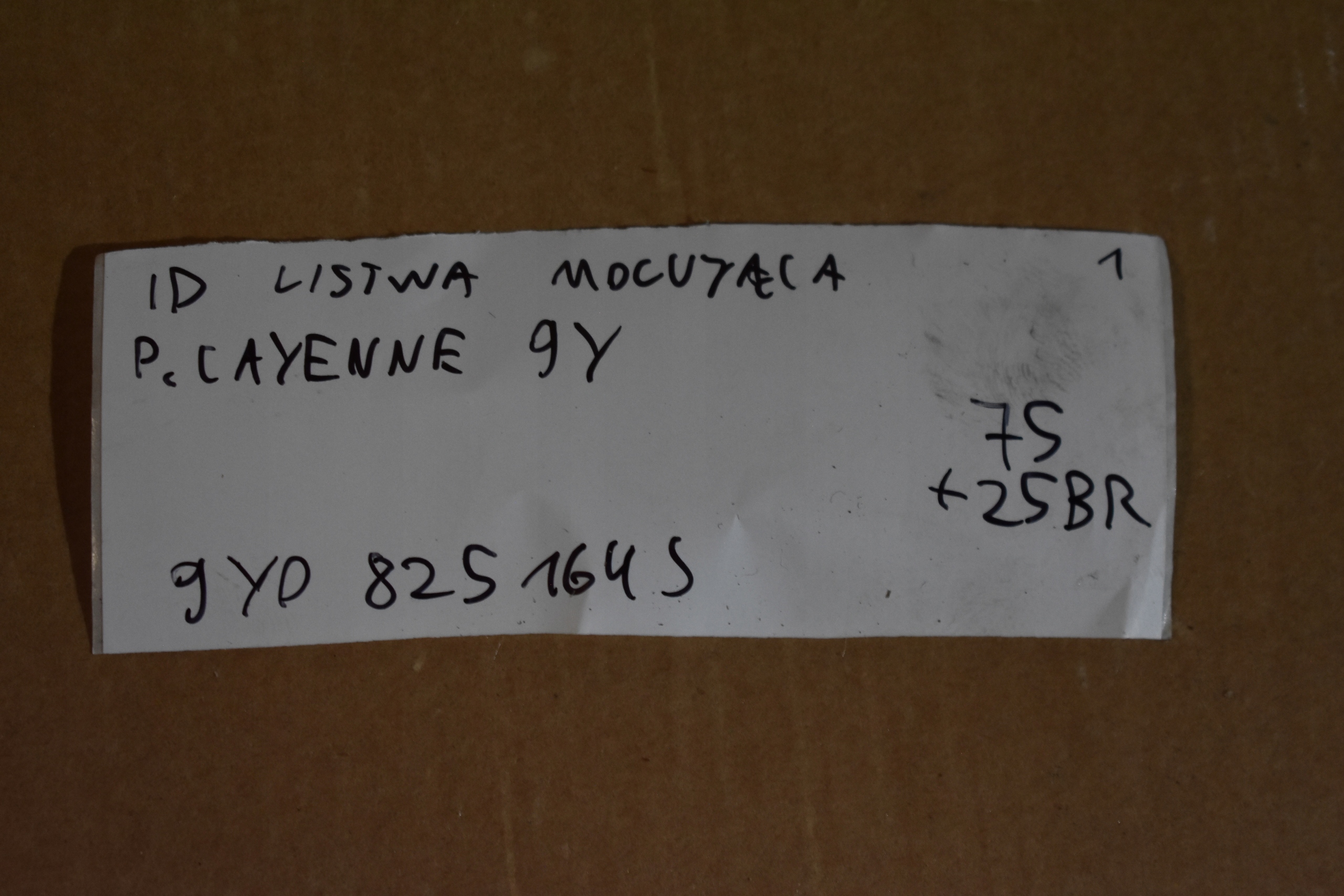 IDEALNA moulding MOCUJACA PORSCHE CAYENNE 9Y 1