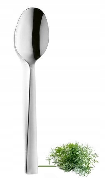 AMEFA SZTUĆCE PADOVA 1561 ŁYŻKI STOŁOWE OBIADOWE 12 OSÓB NIERDZEWNE KOMPLET Typ produktu wielorazowy