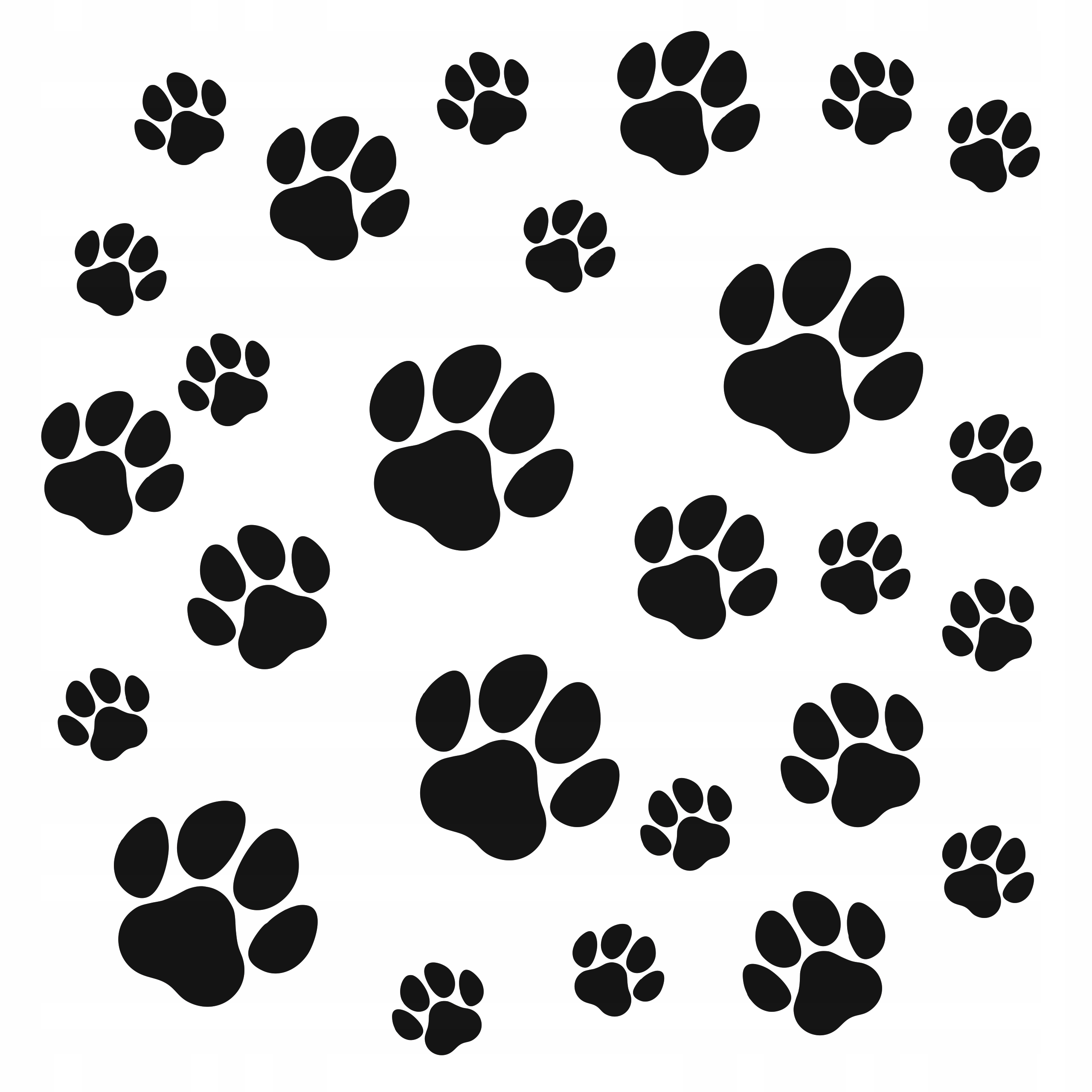 

Naklejki Łapy Łapki Pies Na Auto Samochód 26szt