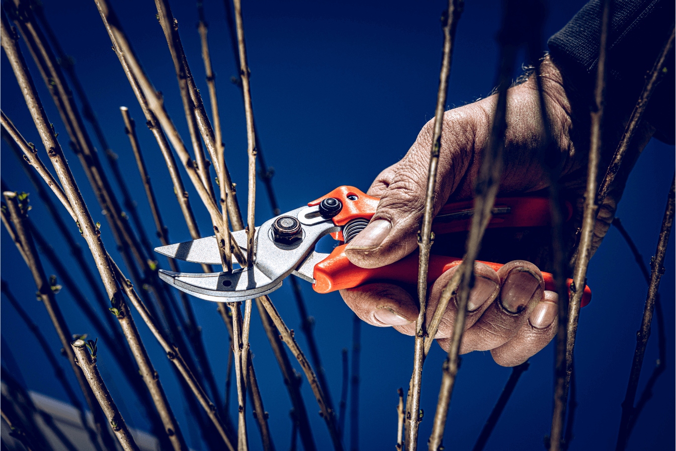 Sekator kowadełkowy LOWE 15.107 19cm Długość robocza 19 cm