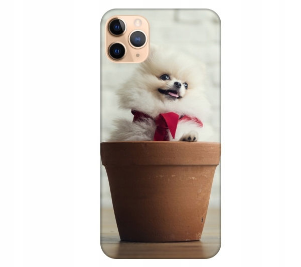 

Etui pokrowiec do iPhone 11 Pro Max Pies pomerania