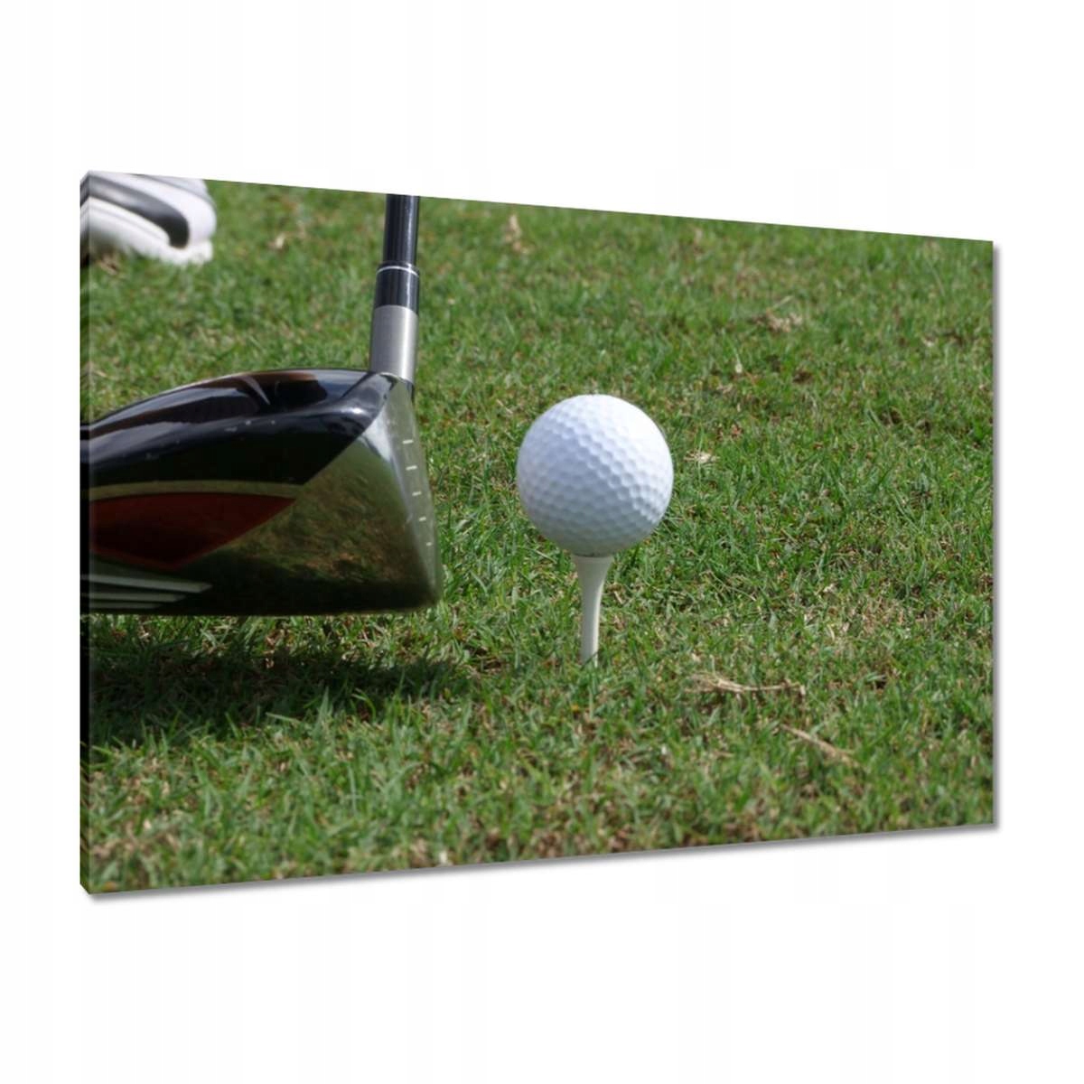 Obrazy 100x70 Golf