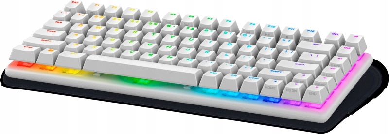 Alienware Pro Wireless Gaming Keyboard Us (qwerty) (Lunar Light)