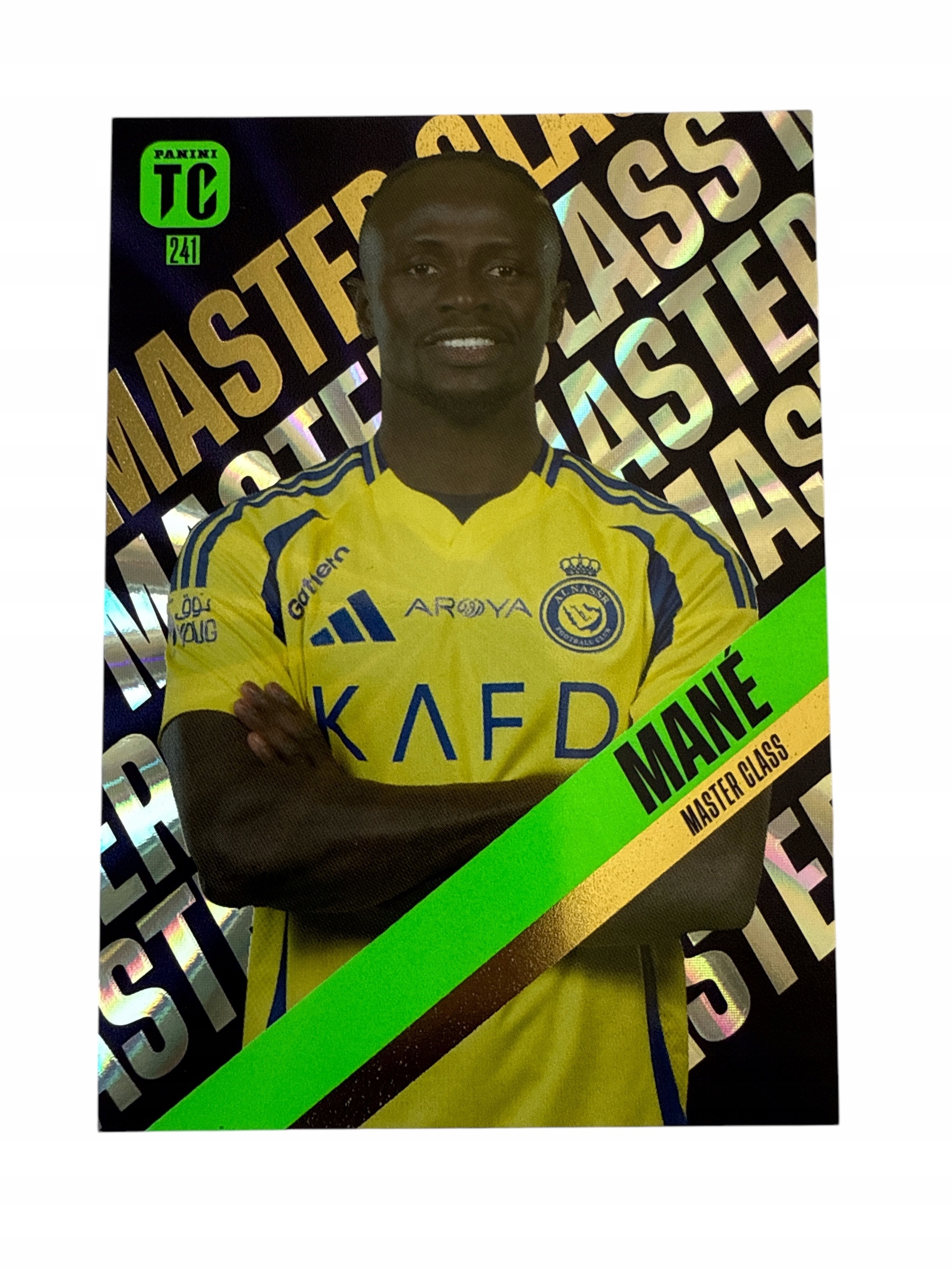 Top Class 2025 Master Class Nr 241 Mane