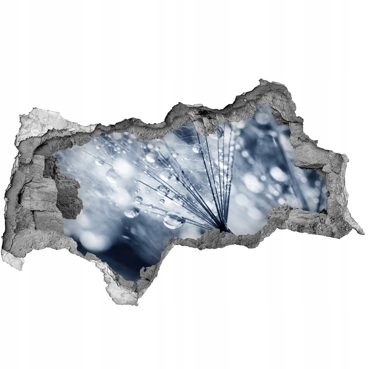 

Samoprzylepna Naklejka Nasiona dmuchawca 95x73