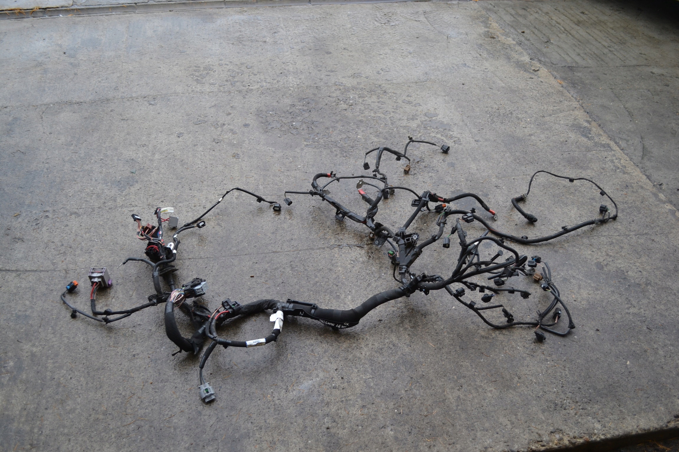 cablaggio cablaggio Motore 240115430R - RENAULT TALISMAN 1.6 DCi 15-20
