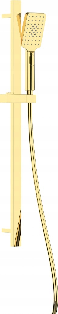 Alpinia gold Sprchový set, 3-funkčný, s posuvnou tyčou (NGA_Z52K) /ka/