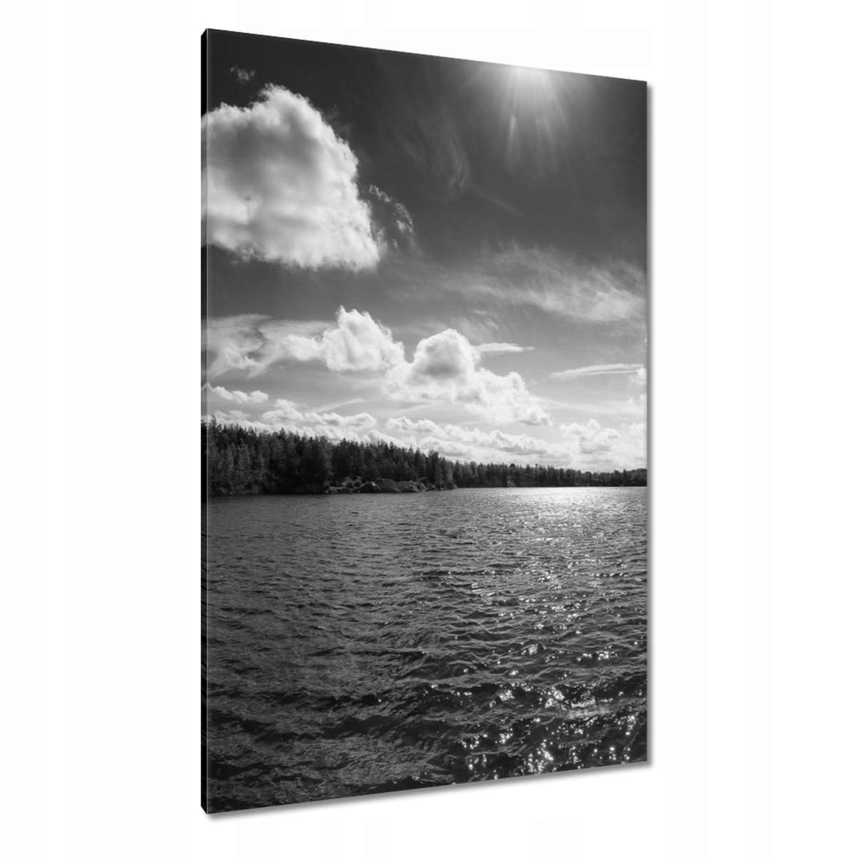 Obrazy 80x120 Krásné letní jezero